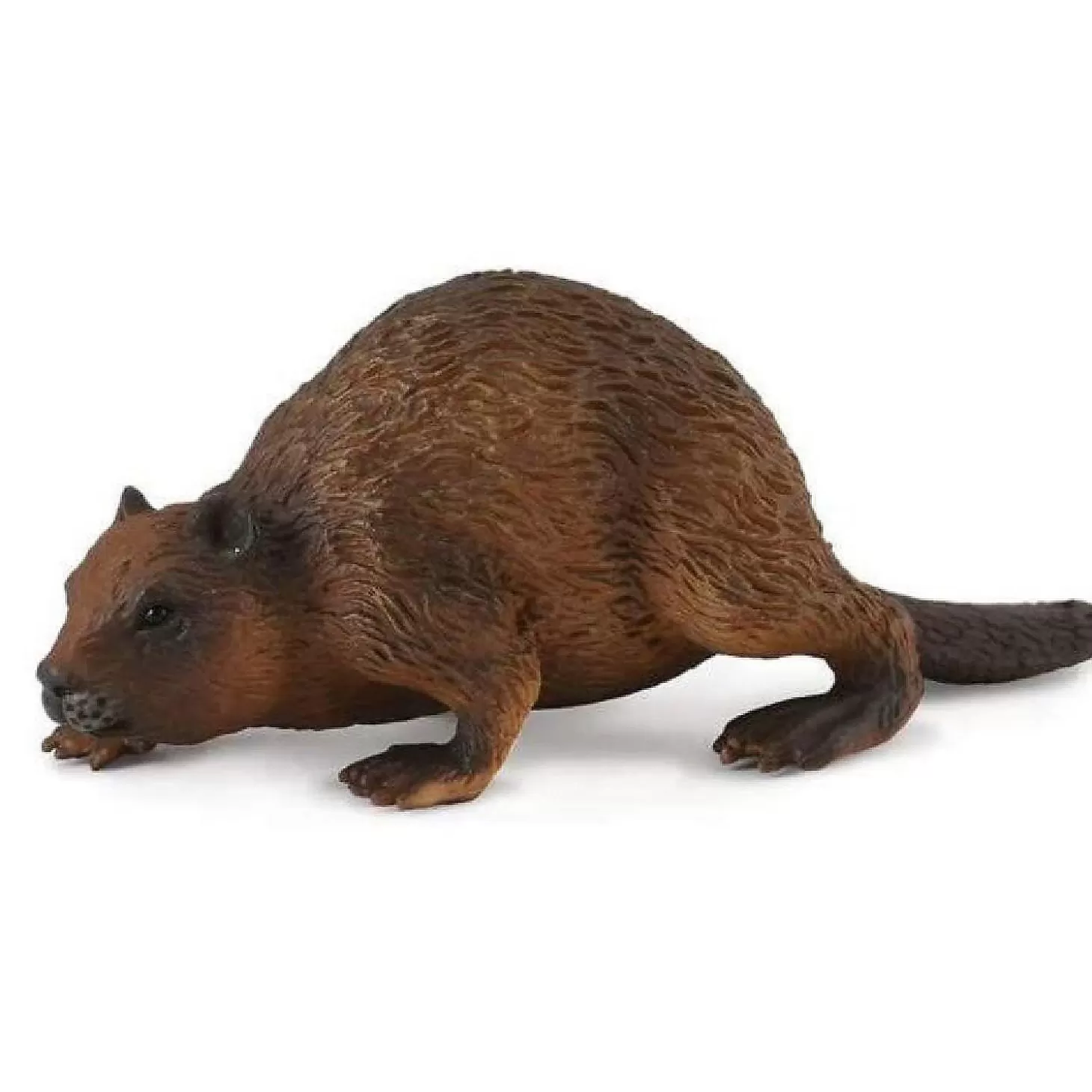 Oriental Trading Collecta Wildlife Collection Miniature Figure Woodlands Beaver* Character Toys