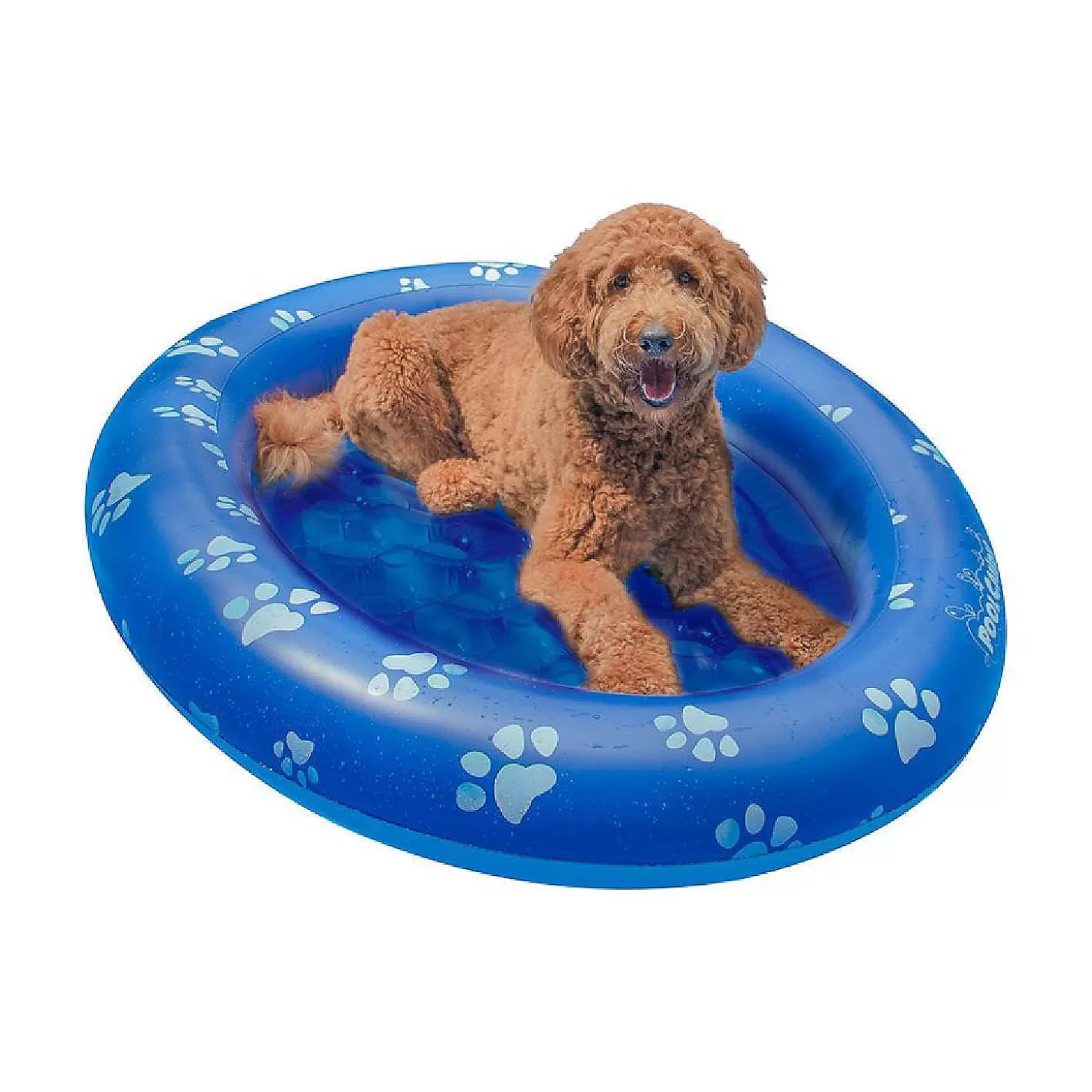 Best Inflatable Pet Float Medium Size Up To 35 Lbs. Water Toys