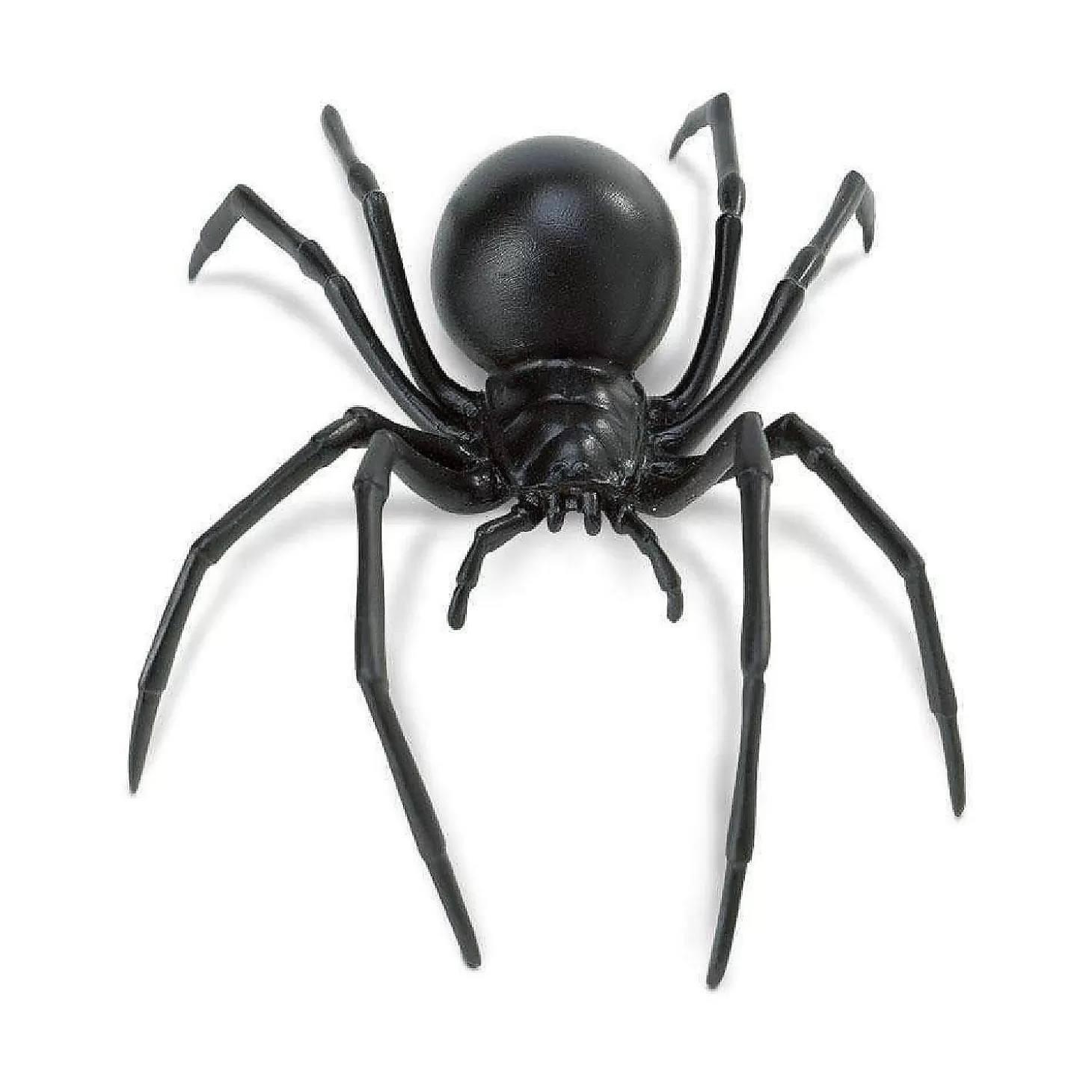 Oriental Trading Safari Black Widow Spider Toy* Character Toys