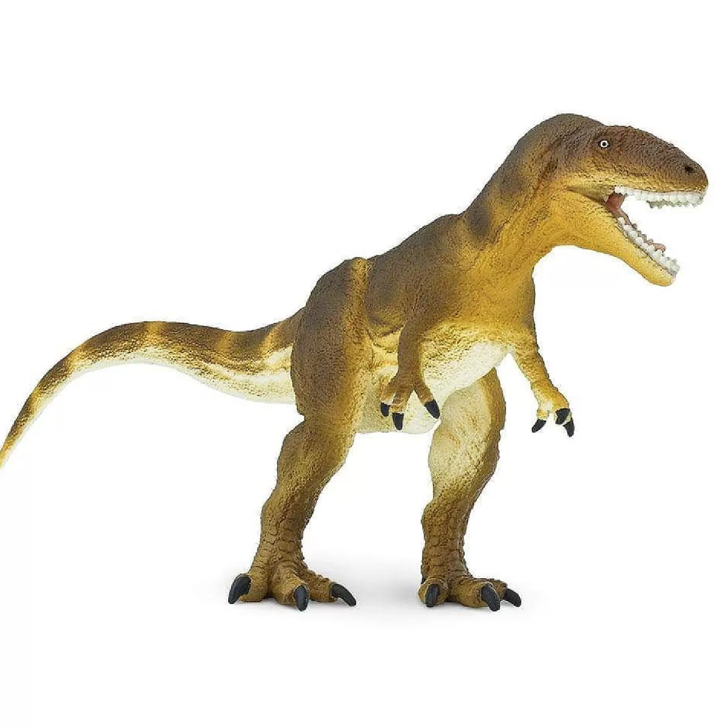 Oriental Trading Safari Carcharodontosaurus Toy* Character Toys