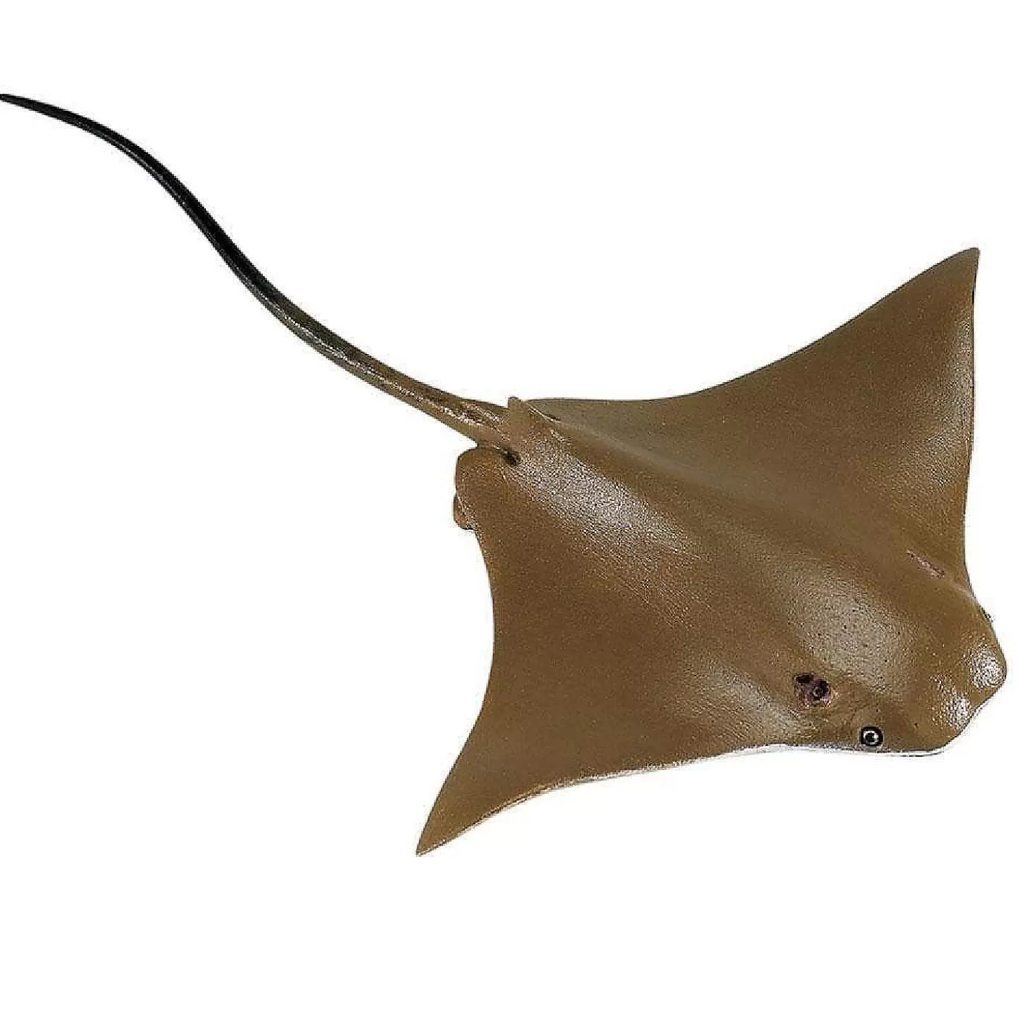 Oriental Trading Safari Cownose Ray Toy* Character Toys