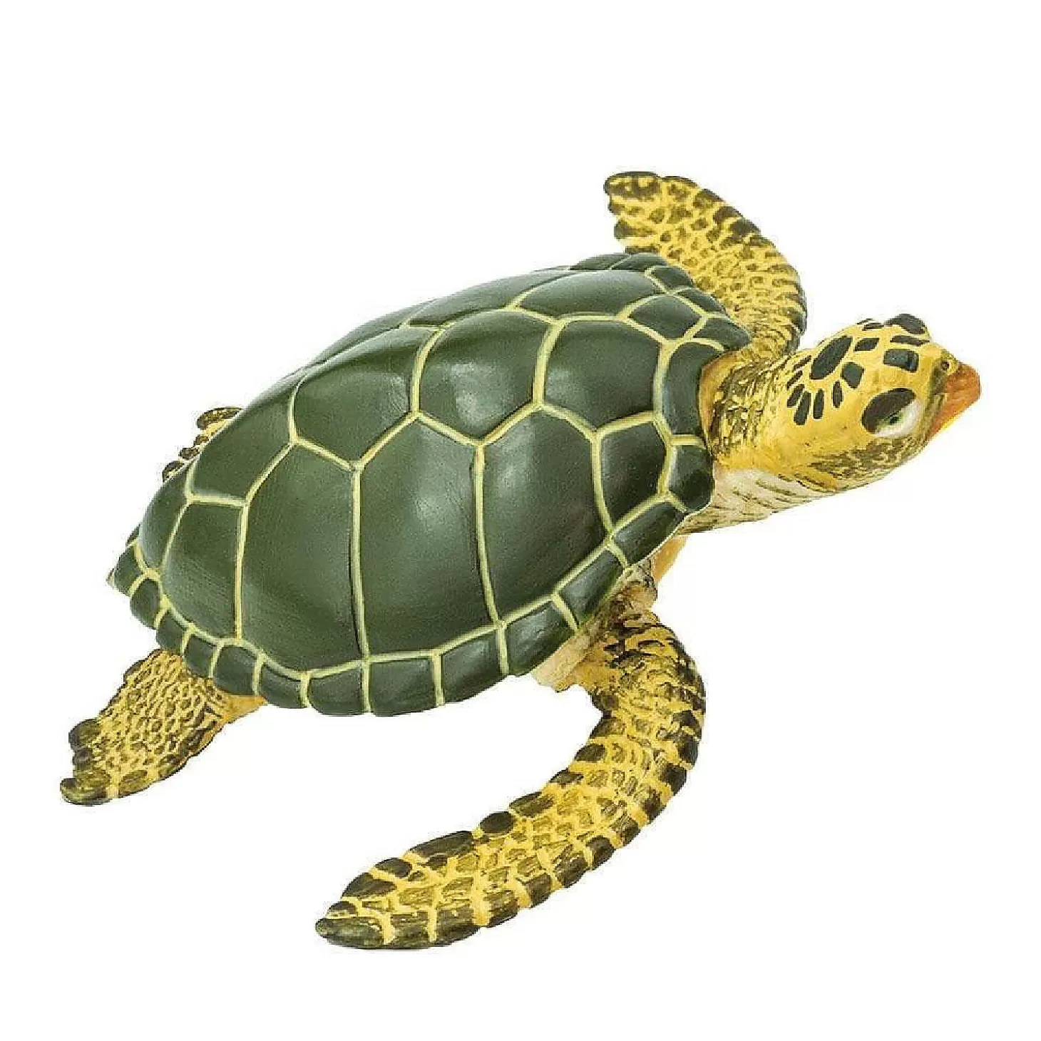 Oriental Trading Safari Green Sea Turtle Toy* Character Toys