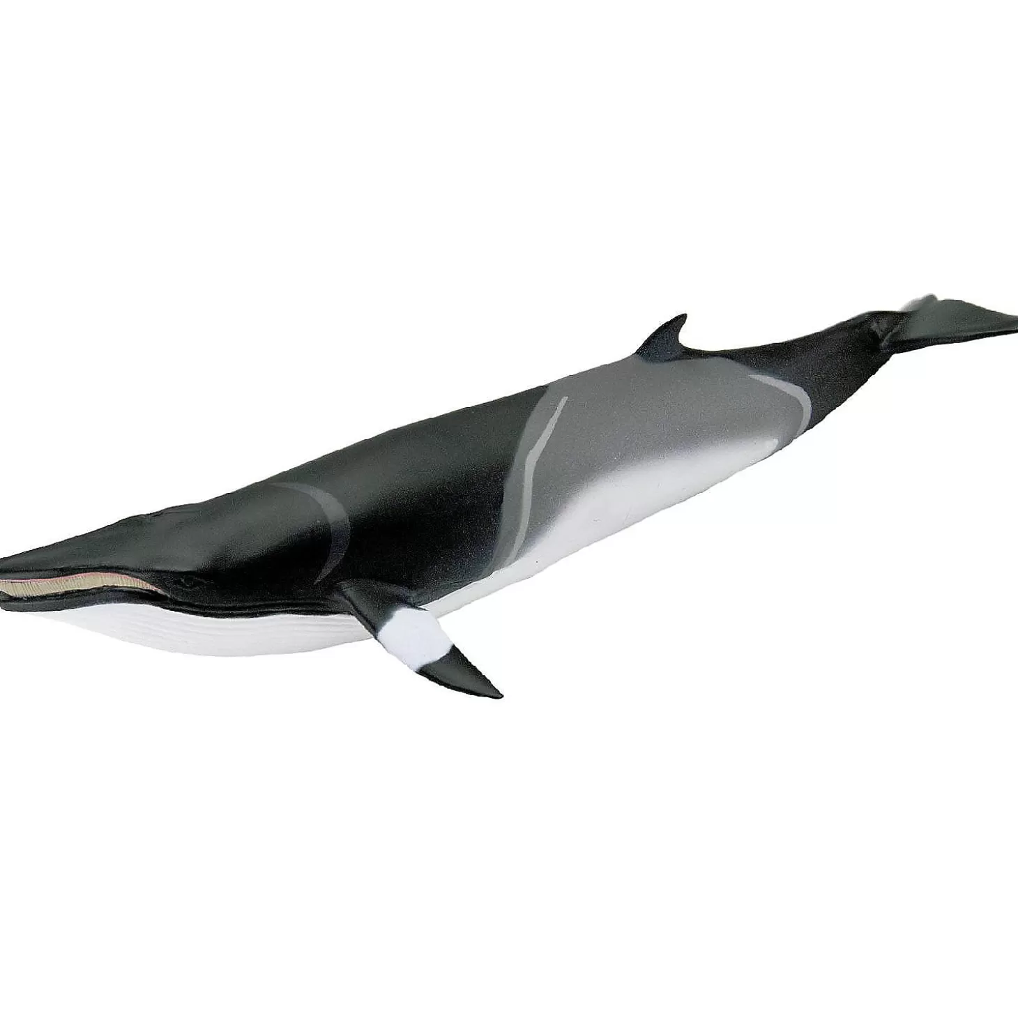 Oriental Trading Safari Ltd. Minke Whale* Character Toys