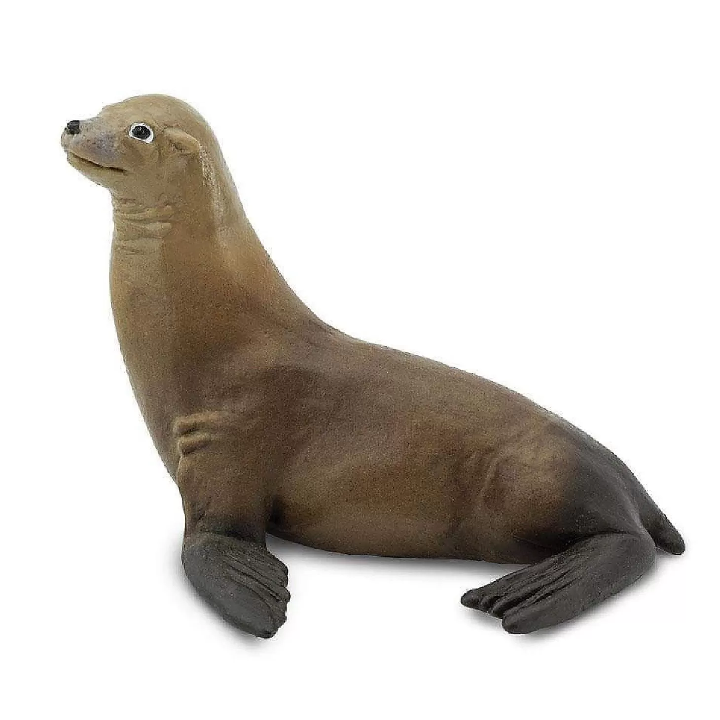 Oriental Trading Safari Sea Lion Toy* Character Toys