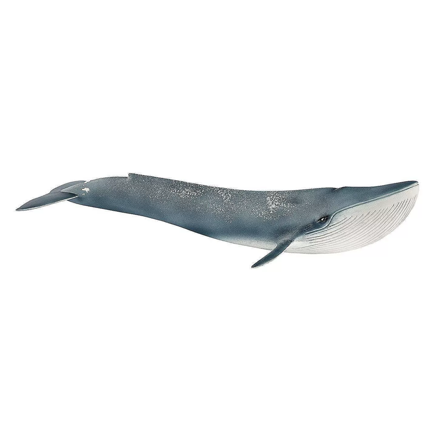 Oriental Trading Schleich Blue Whale* Character Toys